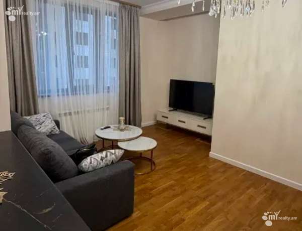 2-senyakanoc-bnakaran-vardzakalutyun-Yerevan-Arabkir