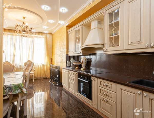 3-senyakanoc-bnakaran-vardzakalutyun-Yerevan-Center