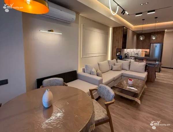 3-senyakanoc-bnakaran-vardzakalutyun-Yerevan-Arabkir