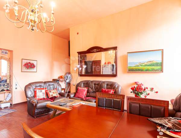 3-senyakanoc-bnakaran-vardzakalutyun-Yerevan-Center