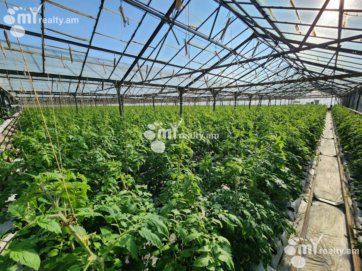 Land for sale Aramus, Aramus Kotayk, 158581