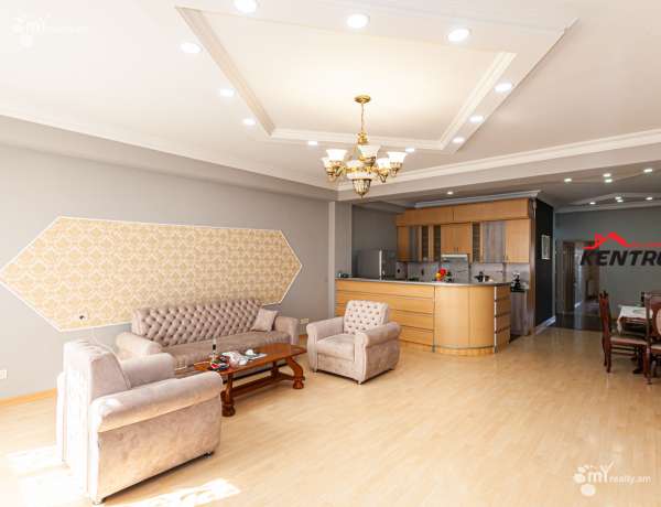 3-senyakanoc-bnakaran-vardzakalutyun-Yerevan-Center