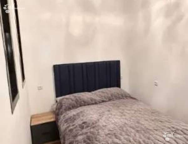 2-senyakanoc-bnakaran-vardzakalutyun-Yerevan-Center