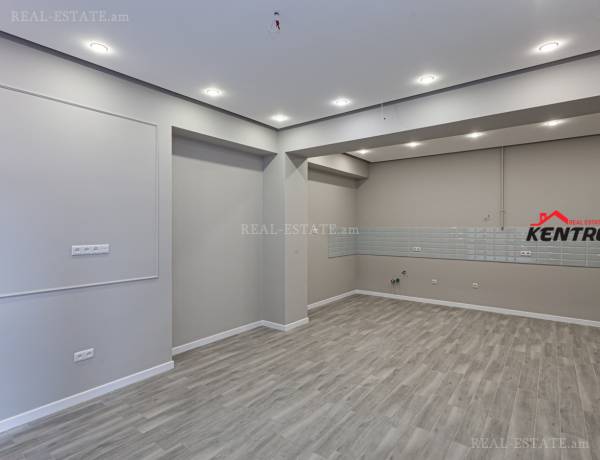 2-senyakanoc-bnakaran-vacharq-Yerevan-Davtashen