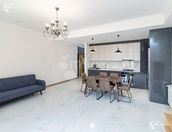 2-senyakanoc-bnakaran-vardzakalutyun-Yerevan-Arabkir