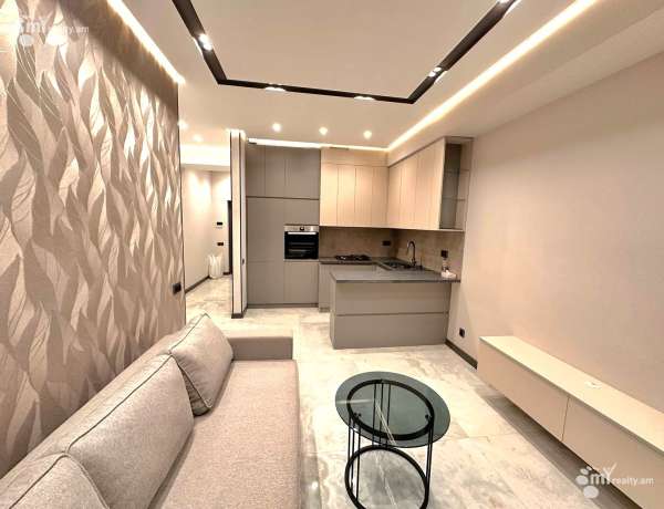 2-senyakanoc-bnakaran-vardzakalutyun-Yerevan-Achapnyak