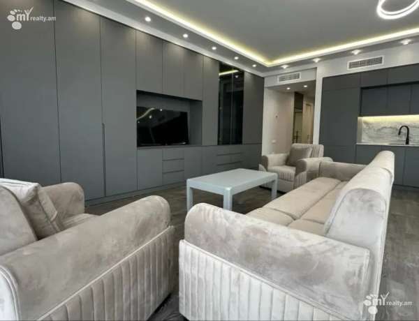 3-senyakanoc-bnakaran-vardzakalutyun-Yerevan-Center