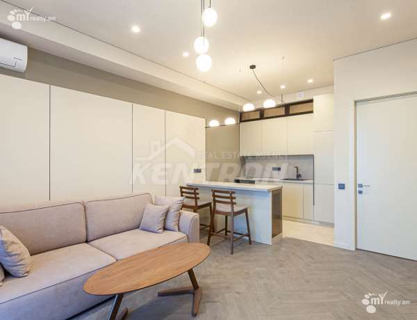 2-senyakanoc-bnakaran-vardzakalutyun-Yerevan-Center