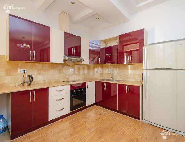 2-senyakanoc-bnakaran-vardzakalutyun-Yerevan-Center