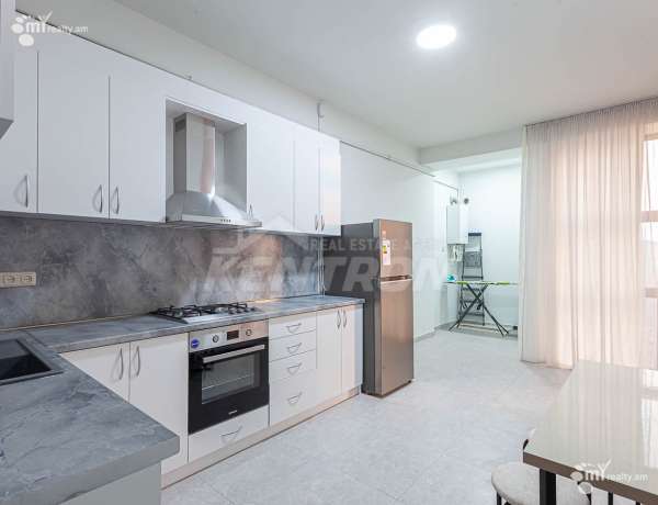 3-senyakanoc-bnakaran-vardzakalutyun-Yerevan-Center