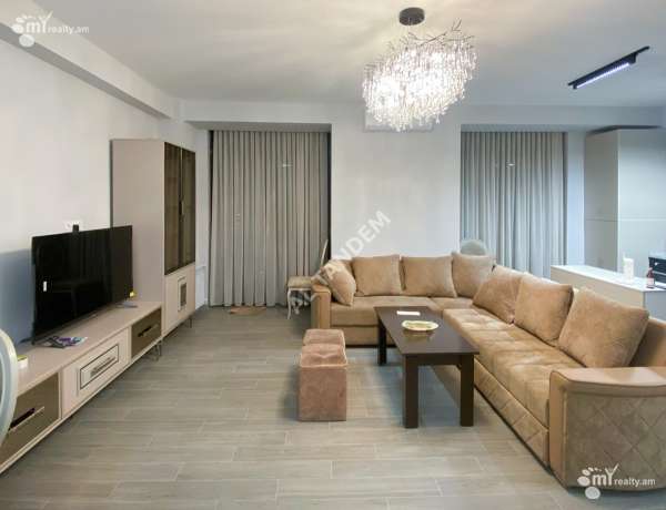 4-senyakanoc-bnakaran-vardzakalutyun-Yerevan-Ajapnyak