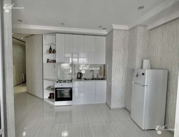 3-senyakanoc-bnakaran-vardzakalutyun-Yerevan-Arabkir