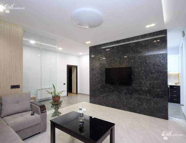 2-senyakanoc-bnakaran-vardzakalutyun-Yerevan-Arabkir