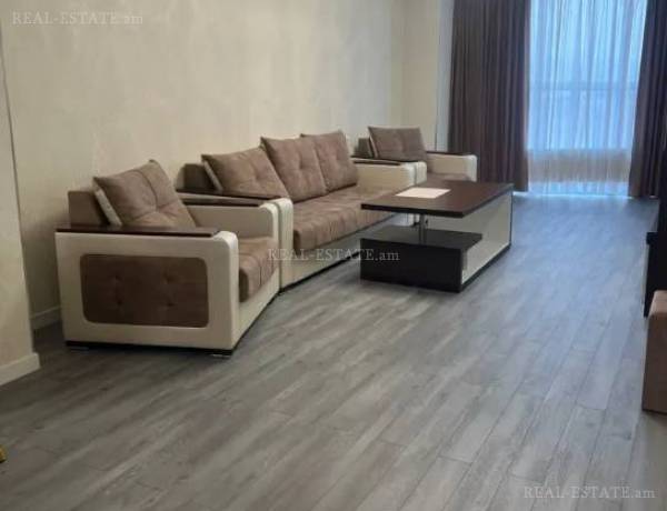 3-senyakanoc-bnakaran-vardzakalutyun-Yerevan-Center