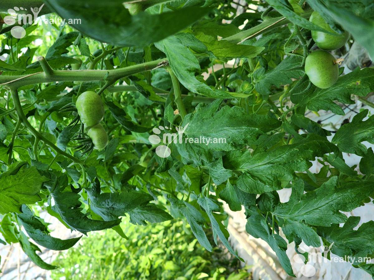 Land for sale Aramus, Aramus Kotayk, 158581