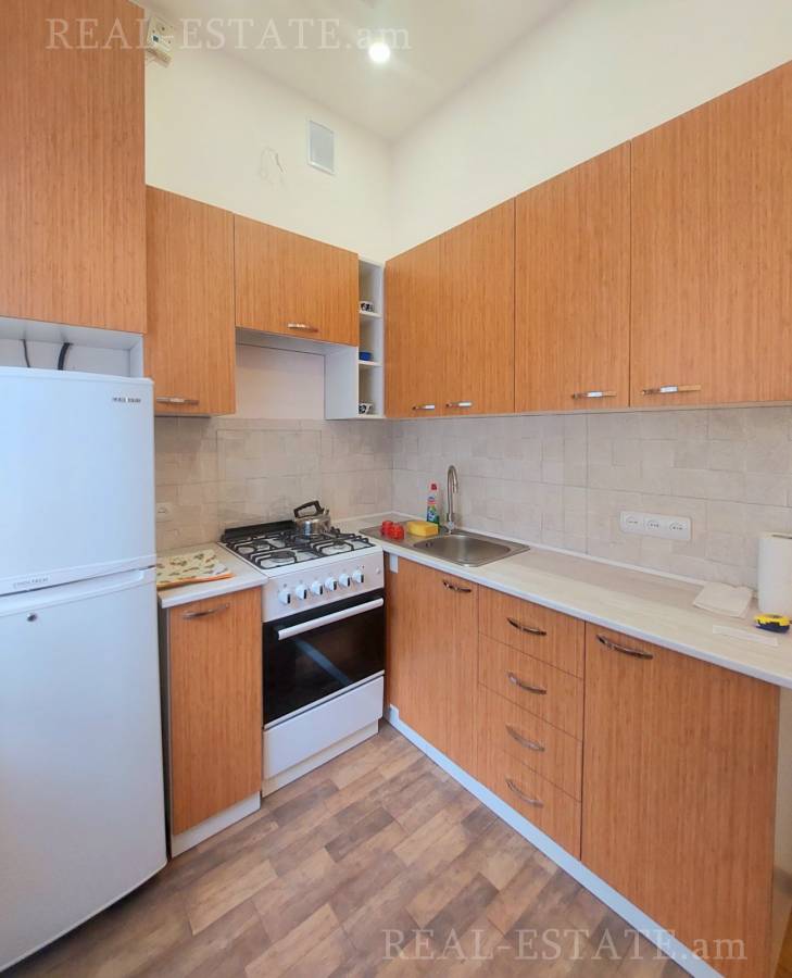 Снять коммерческoе помещение Баграмян пр(Кентрон), Центр Ереван, 140168