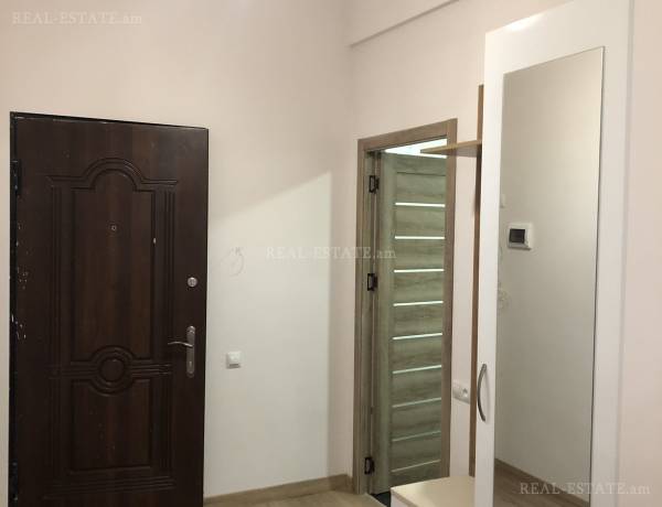 3-senyakanoc-bnakaran-vardzakalutyun-Yerevan-Achapnyak