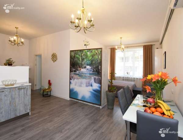 3-senyakanoc-bnakaran-vardzakalutyun-Yerevan-Center