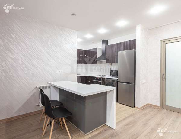 2-senyakanoc-bnakaran-vardzakalutyun-Yerevan-Davtashen