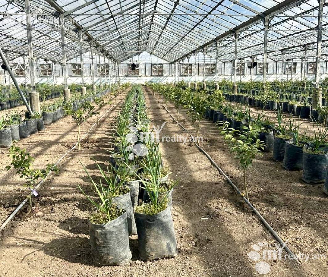 Купить замельный участок Ехвард, Егвард Котайк, 155047