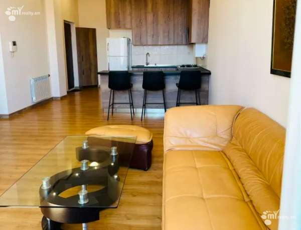 2-senyakanoc-bnakaran-vardzakalutyun-Yerevan-Arabkir