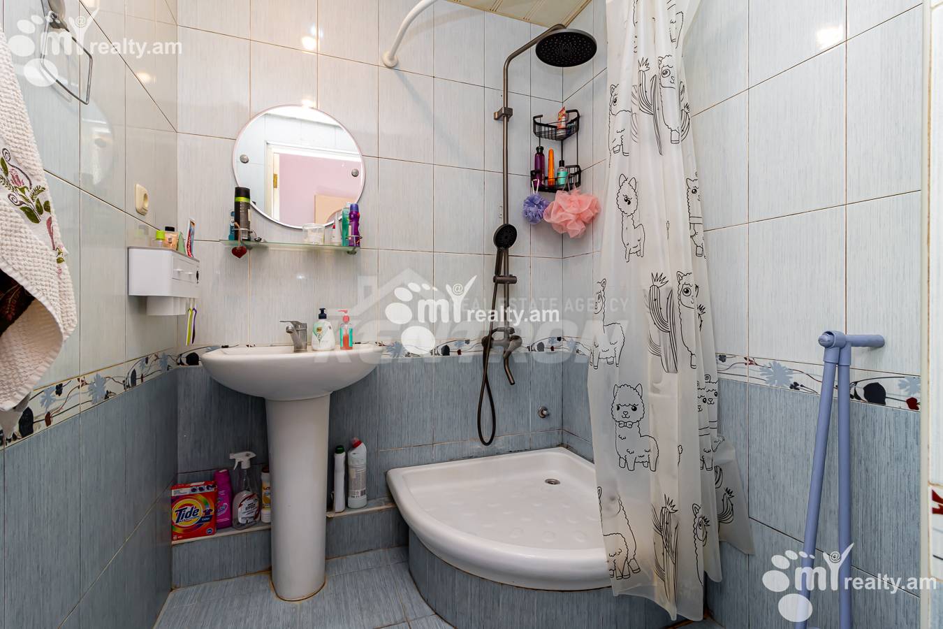 2 սենյականոց բնակարան  Սայաթ-Նովայի պող, Կենտրոն Երևան, 148820