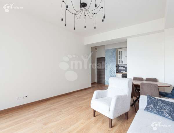 3-senyakanoc-bnakaran-vardzakalutyun-Yerevan-Center