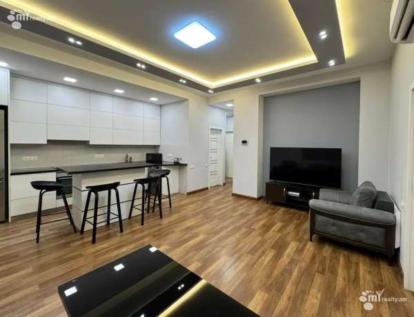 3-senyakanoc-bnakaran-vardzakalutyun-Yerevan-Center