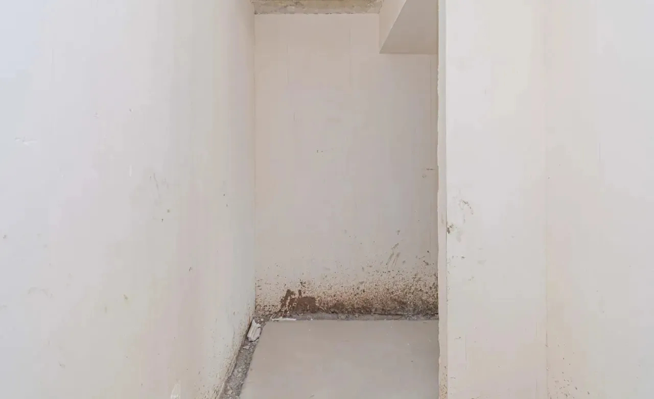 4 bedroom apartment for sale خیابان مامیکونیانتس, عربگیر ایروان, 158042