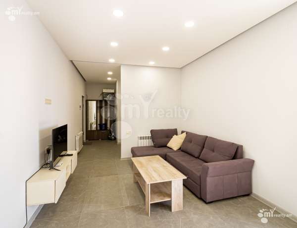 2-senyakanoc-bnakaran-vardzakalutyun-Yerevan-Center