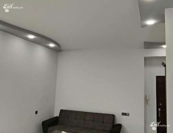 2-senyakanoc-bnakaran-vardzakalutyun-Yerevan-Arabkir