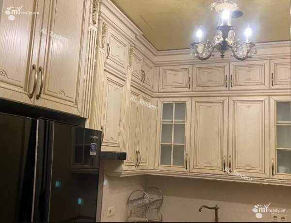 2-senyakanoc-bnakaran-vardzakalutyun-Yerevan-Center