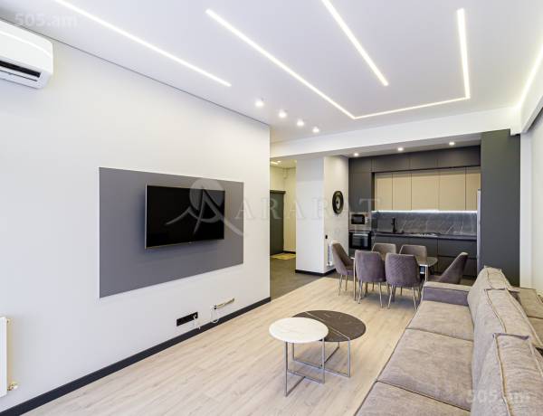 2-senyakanoc-bnakaran-vardzakalutyun-Yerevan-Davtashen