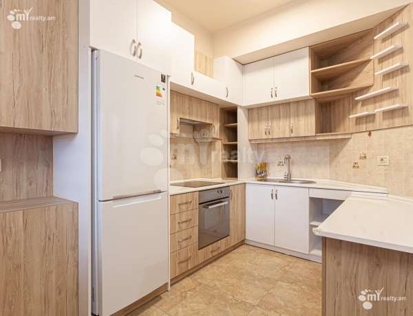 3-senyakanoc-bnakaran-vardzakalutyun-Yerevan-Center