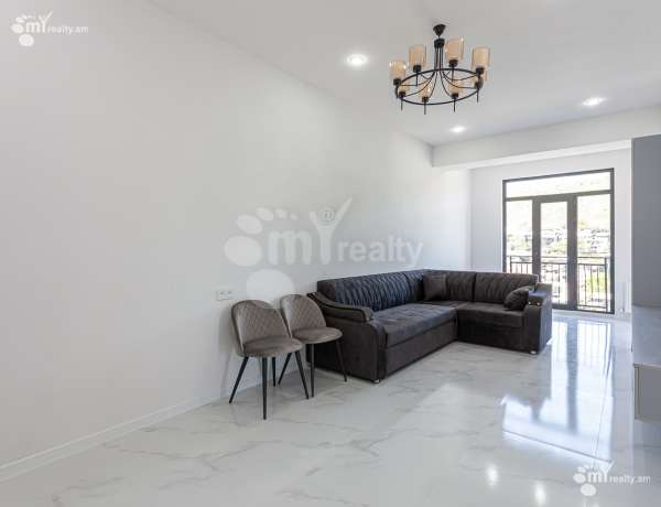 3-senyakanoc-bnakaran-vardzakalutyun-Yerevan-Center