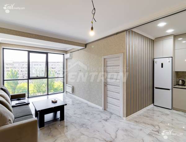 2-senyakanoc-bnakaran-vardzakalutyun-Yerevan-Davtashen