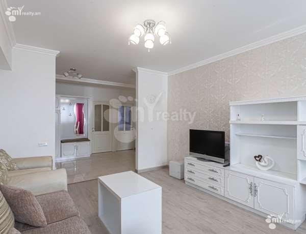 3-senyakanoc-bnakaran-vardzakalutyun-Yerevan-Center