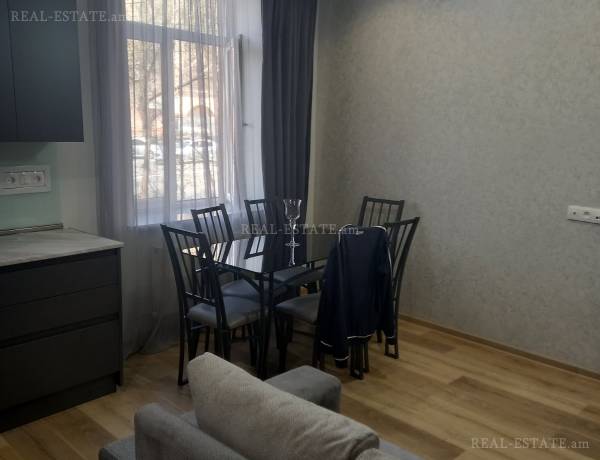 2-senyakanoc-bnakaran-vardzakalutyun-Yerevan-Center