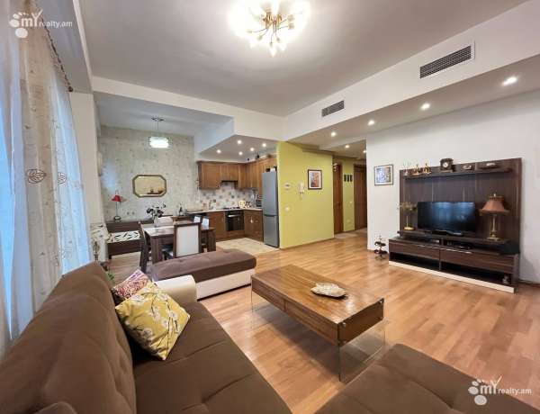 2-senyakanoc-bnakaran-vardzakalutyun-Yerevan-Center