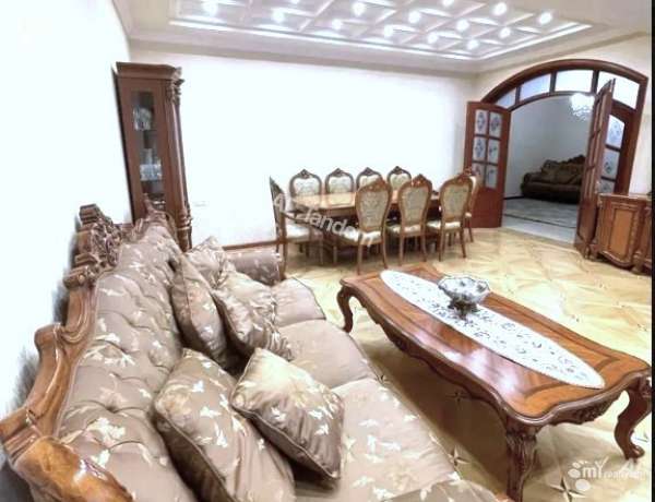 3-senyakanoc-bnakaran-vardzakalutyun-Yerevan-Center