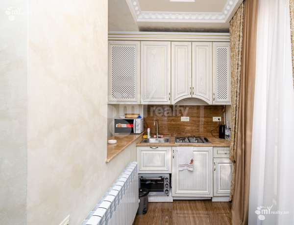 2-senyakanoc-bnakaran-vardzakalutyun-Yerevan-Center