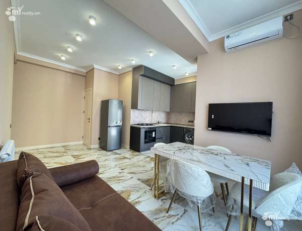 2-senyakanoc-bnakaran-vardzakalutyun-Yerevan-Center