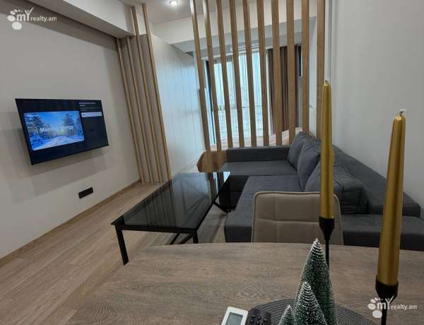 1-senyakanoc-bnakaran-vardzakalutyun-Yerevan-Arabkir