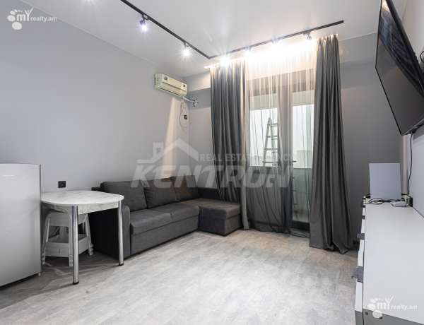 2-senyakanoc-bnakaran-vardzakalutyun-Yerevan-Avan