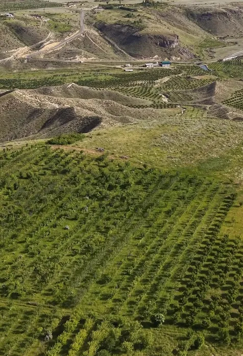 Land for sale Hacavan, Nor Geghi Kotajk, 160697