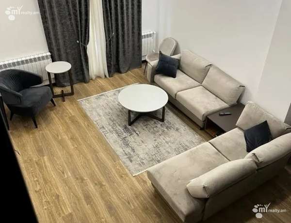 3-senyakanoc-bnakaran-vardzakalutyun-Yerevan-Center