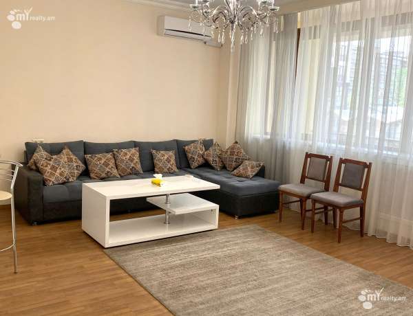 2-senyakanoc-bnakaran-vardzakalutyun-Yerevan-Center