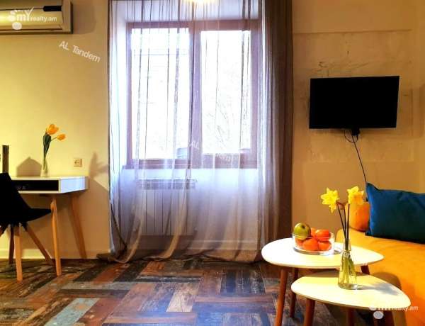 2-senyakanoc-bnakaran-vardzakalutyun-Yerevan-Center