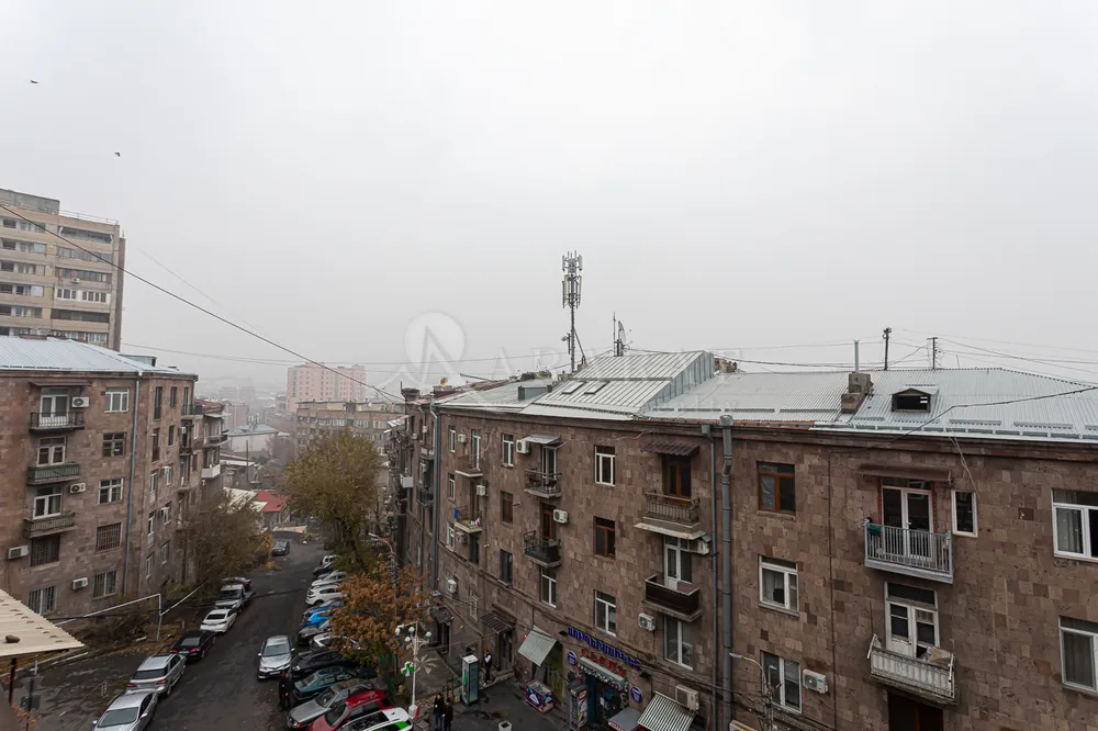 2-senyakanoc-bnakaran-vacharq-Yerevan-Center