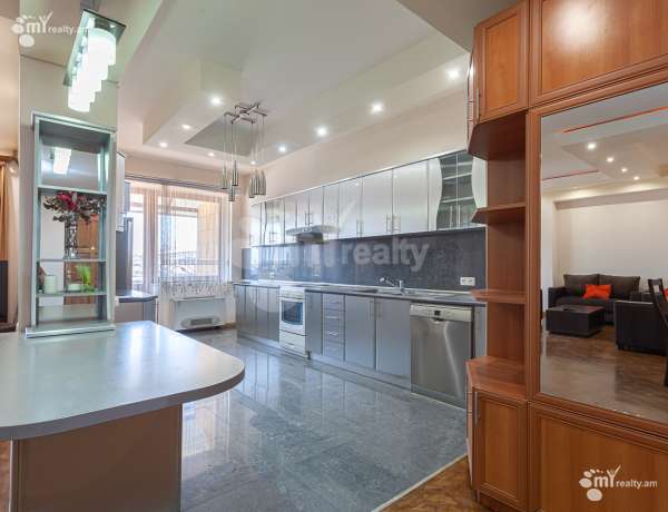 3-senyakanoc-bnakaran-vardzakalutyun-Yerevan-Center